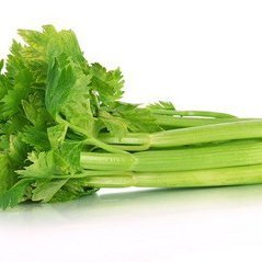 Celery